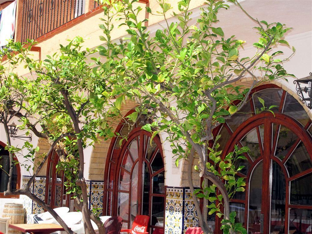 Hotel Comarruga Platja Exterior photo